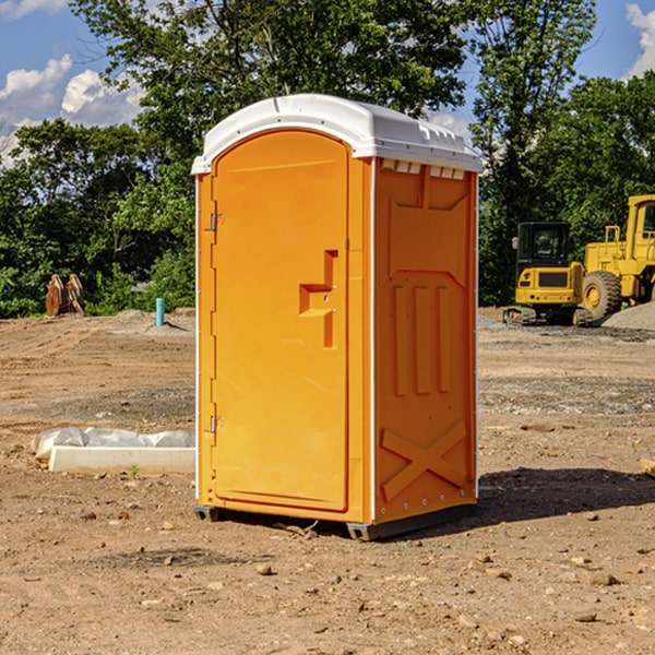 do you offer hand sanitizer dispensers inside the portable restrooms in Mineral Bluff